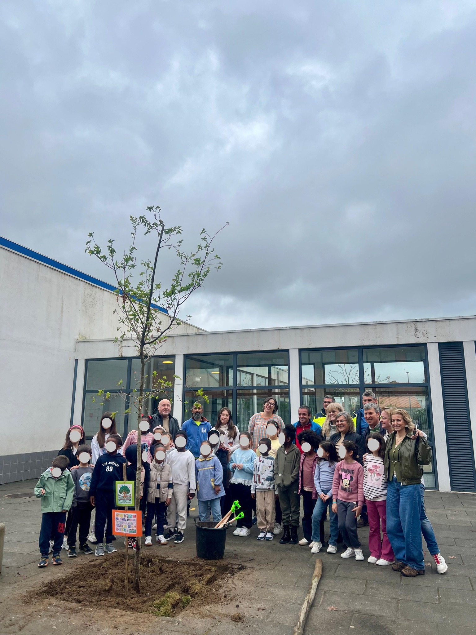 Replantação de árvores oferecidas pela Câmara Municipal do Entroncamento